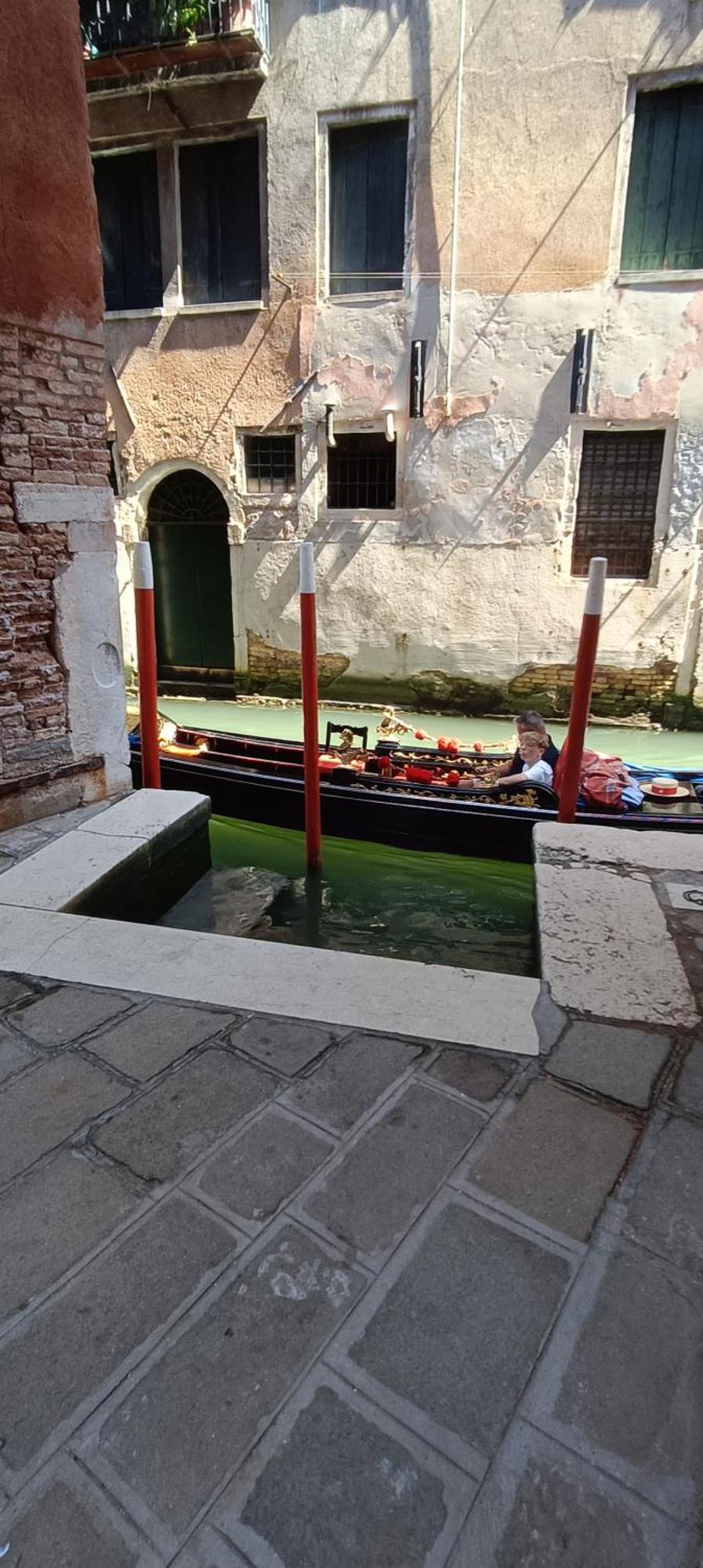 Ca Del Gambero Canal View Venedig Exteriör bild